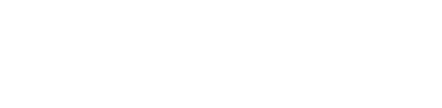 GeoSpy wordmark