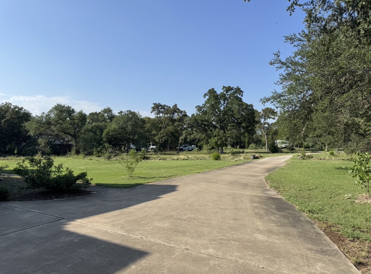 Low-context photograph: an empty concrete driveway runs through a lawn toward a line of live oaks under a clear sky.