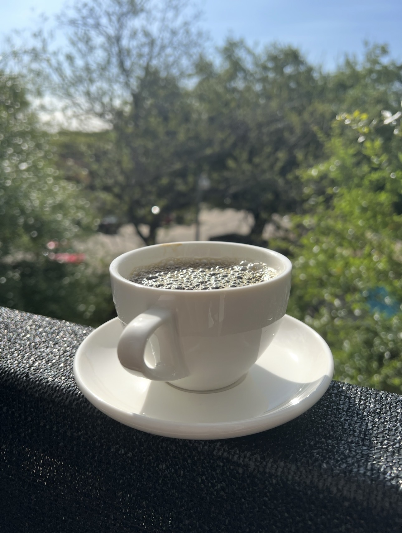 Low-context phone photograph of a coffee cup on a balcony, out-of-focus trees in background